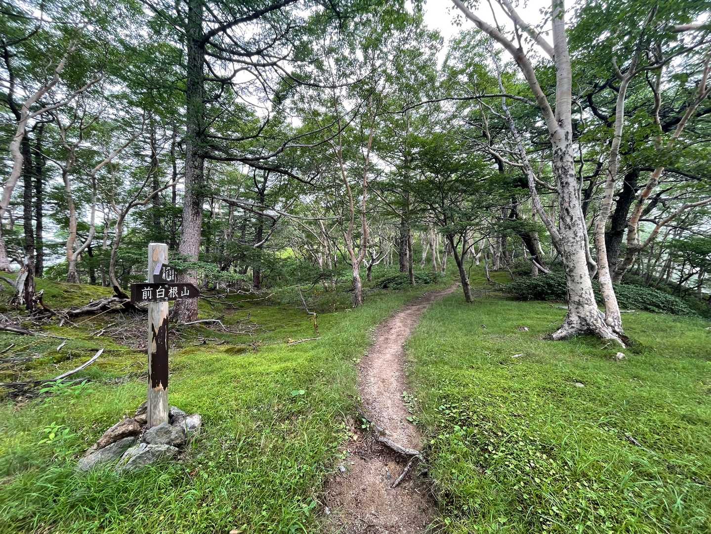 さて、前白根山目指して頑張りますか！