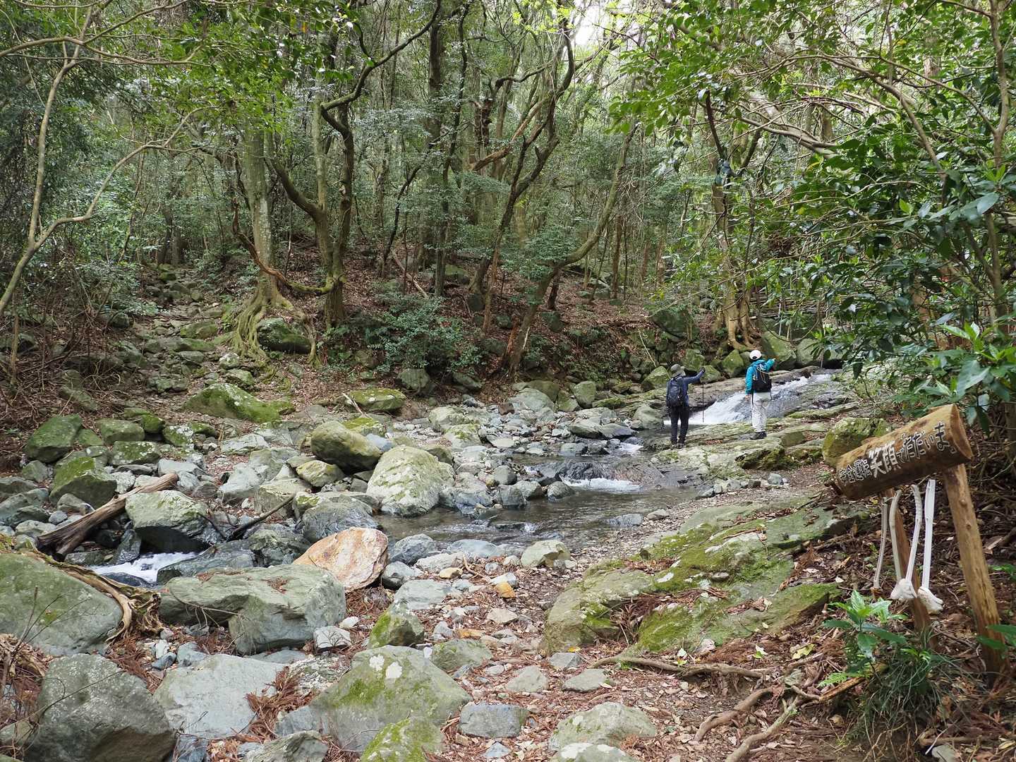 川が増水してる😱