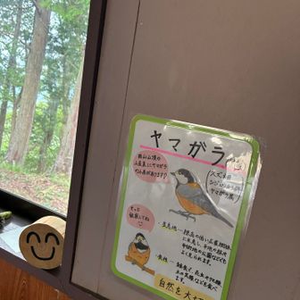 おっはよ〜スマイル君長男😊ヤマガラ可愛い🩷ほんと自然を大切にですよねー🍀
