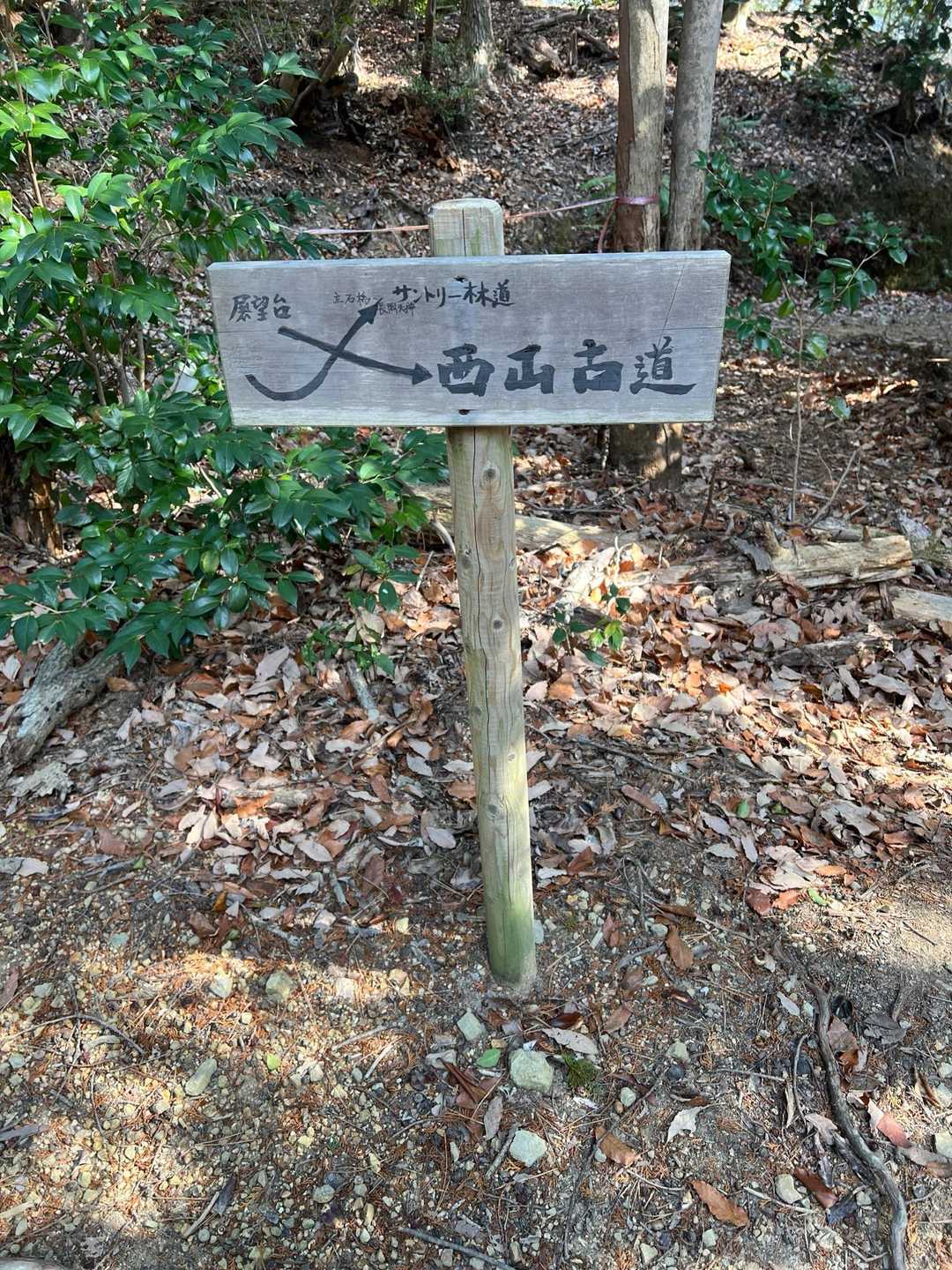 西山古道を進みます