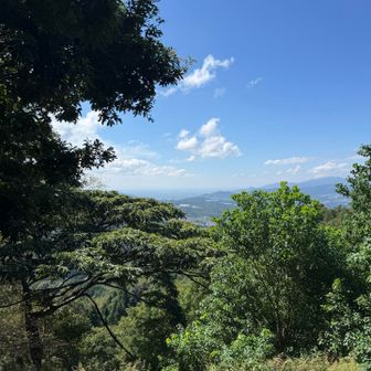 8番過ぎていきなり視界が広がり大阪湾まで見えます。
