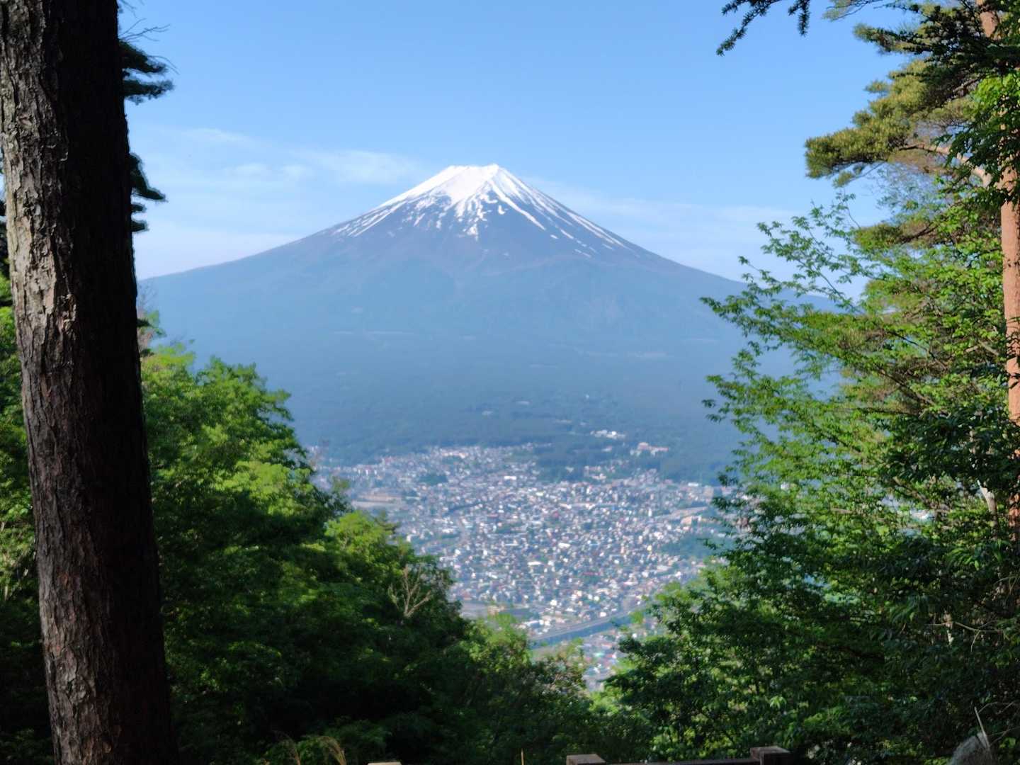 御殿山頂からの🗻