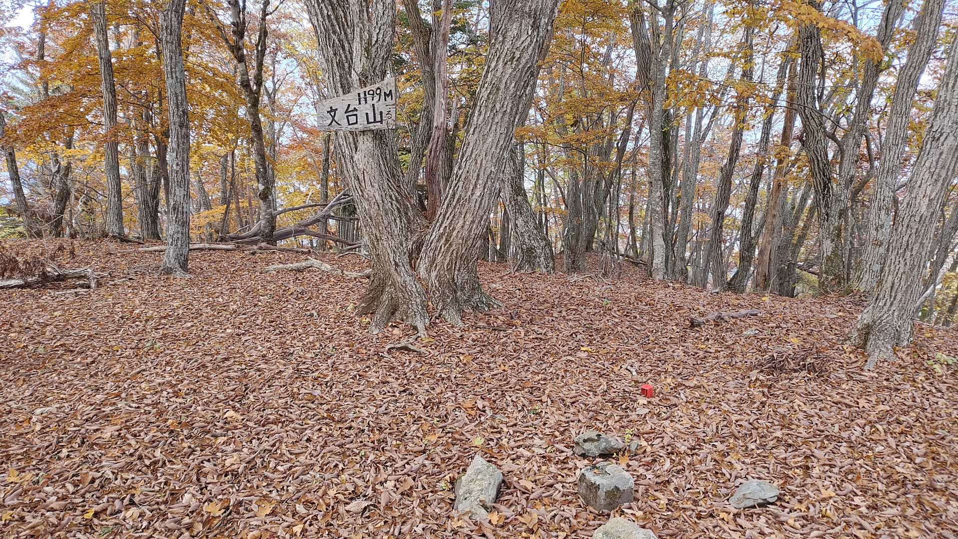 そして山頂です。落葉広葉樹林に囲まれいい感じでした。落ち葉で地面はフカフカ！テン泊したら気持ちよさそうです(笑)