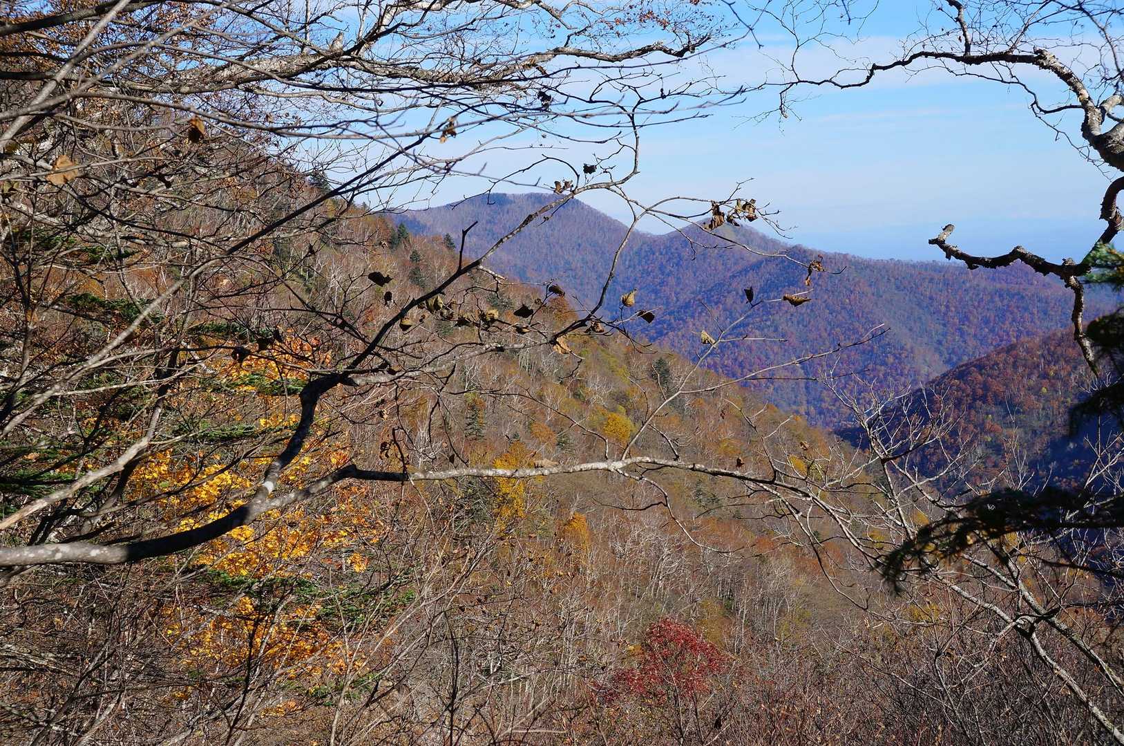 十勝幌尻岳登山口-十勝幌尻岳 往復コースの写真