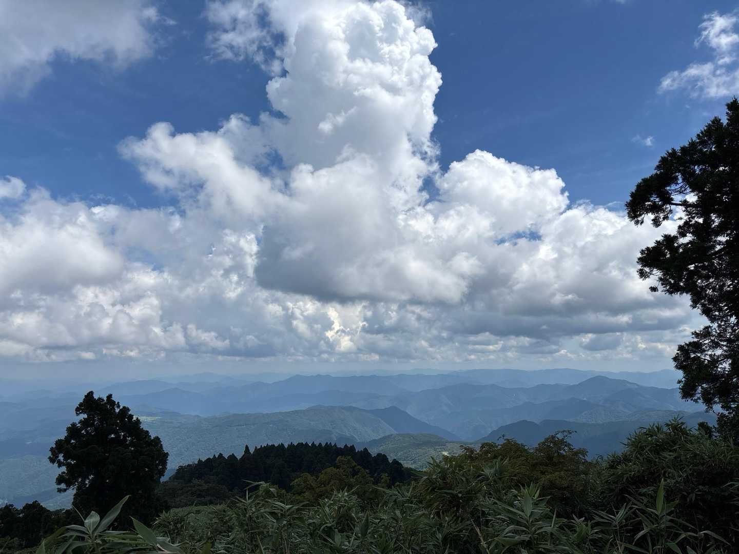 大段ヶ平登山口-氷ノ山 往復コースの写真