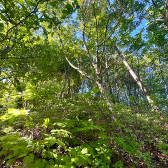 あと一息💪池杉山山頂
中々の急登です