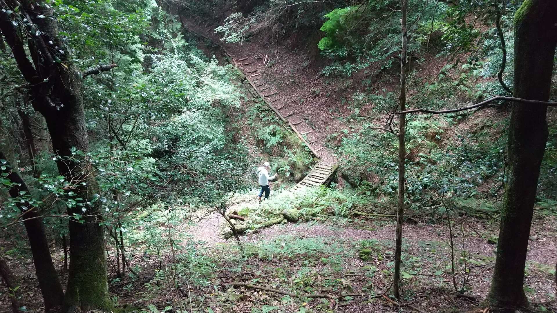 長尾山 周回コースの写真