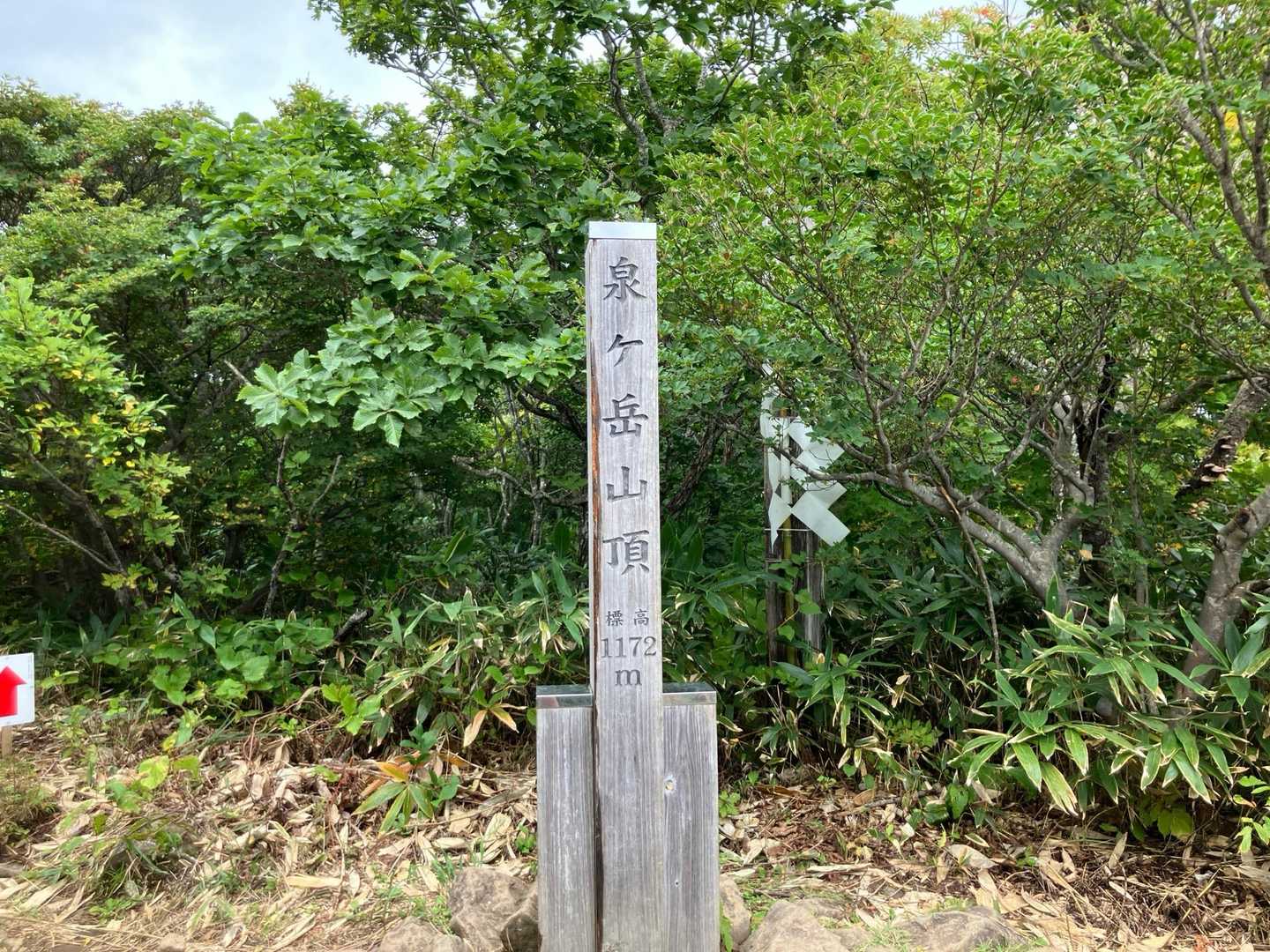 かもしかを制覇したので後はゴールまで
楽しい時間の始まりですね❤️‍🔥