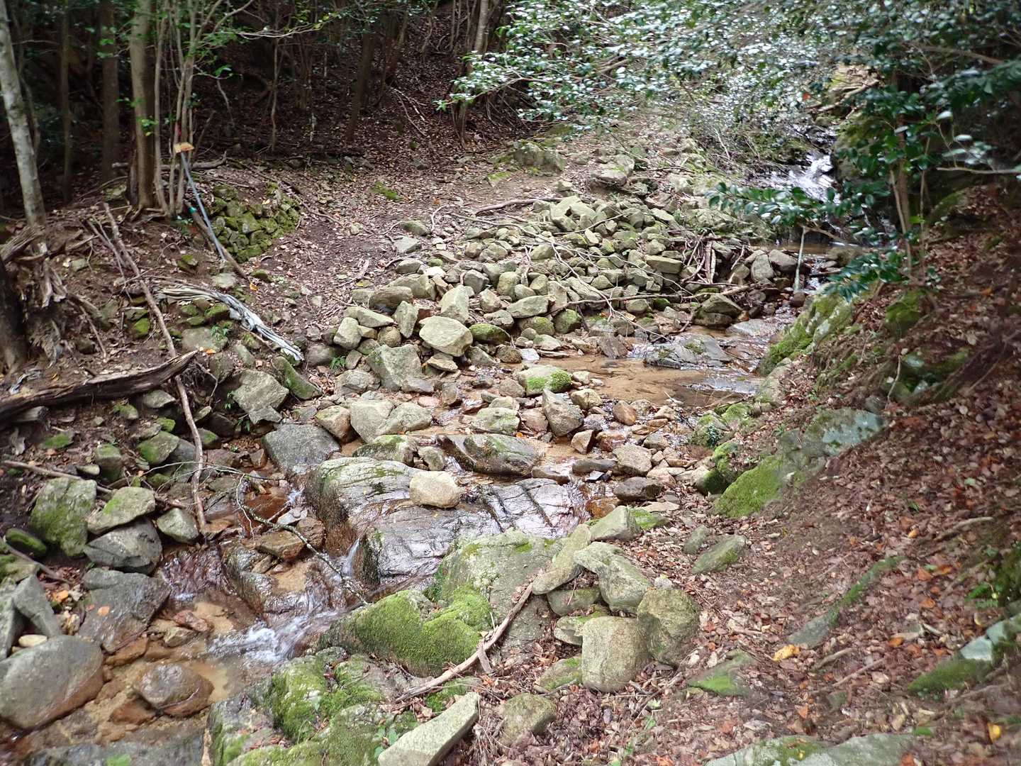 ４回ほど渡渉繰り返す。