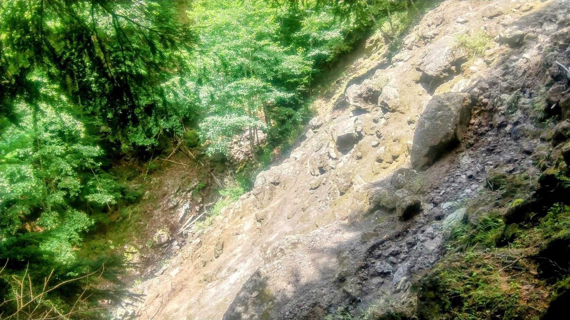 ん十年前は登山道だった所を進んでみましたが、薙がなかなかに際どかったので、またの機会に。
ちなみに、現登山道からも道型は見て取れますよ。😄