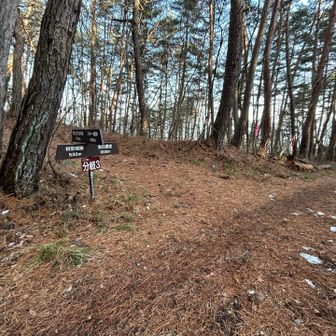 下ってきた。
今日は枡形城跡や、地附山前方後円墳の方には立ち寄らず、このまま下山するとしよう。