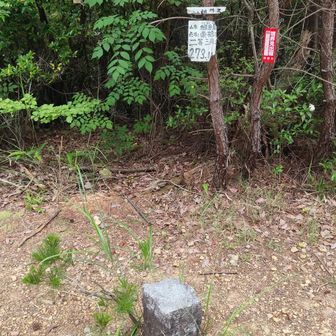 継鹿尾山の三角点