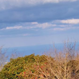 ビジターセンター前の広場から沖ノ島がうっすら
撮り方下手🌅