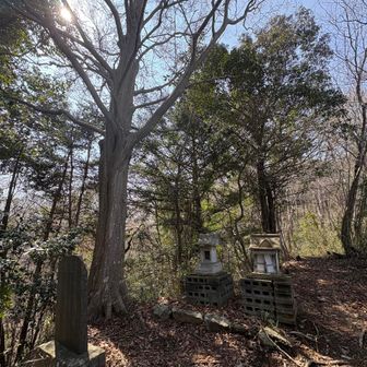 人里近いのに、本当に静かな山の中