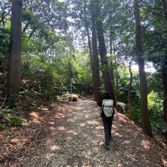 いつもの山登りとは違って山の中を探検してるみたいだったねー😆
めっちゃ楽しかった〜😄👍