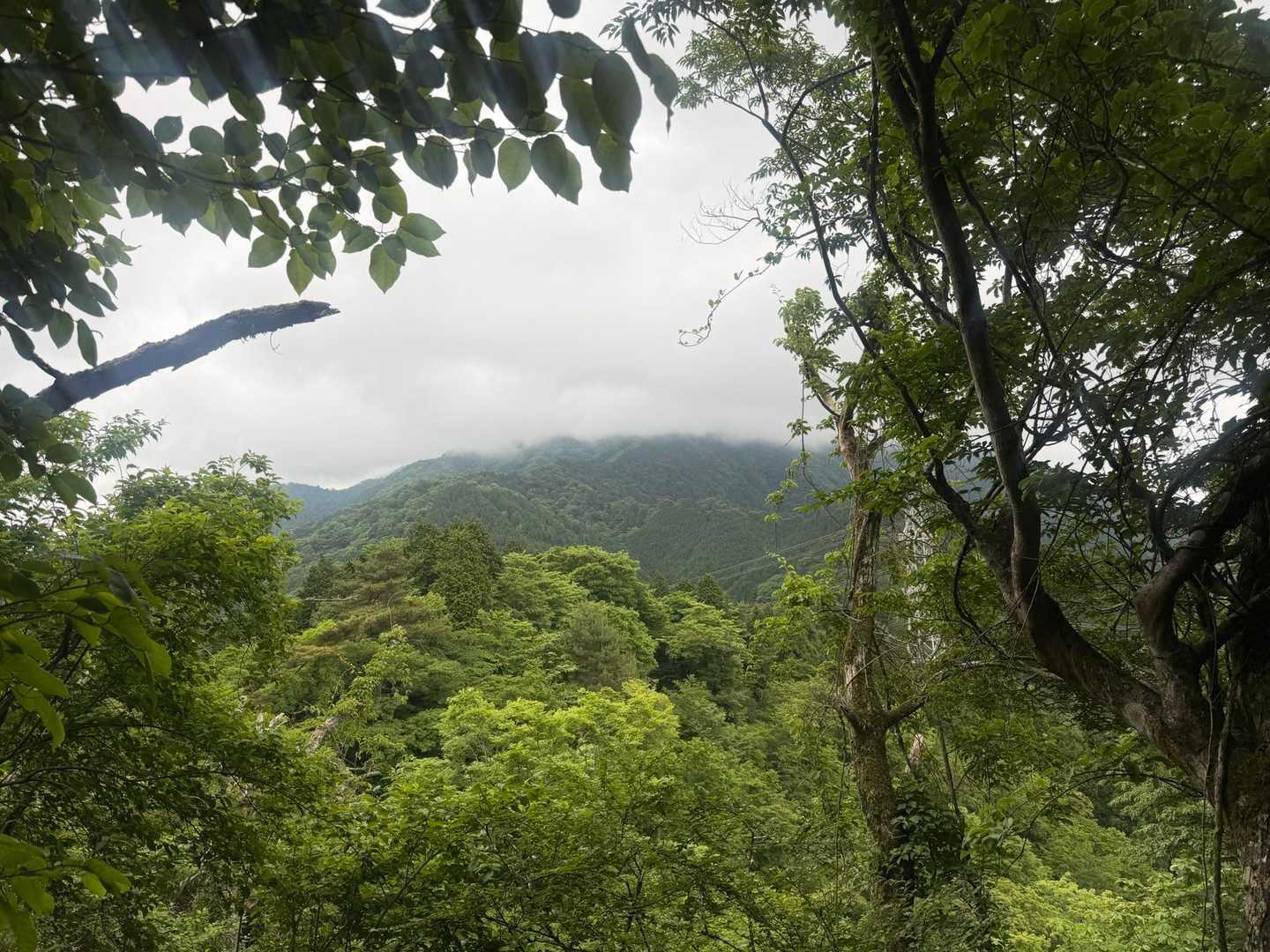 隙間から見えた大山は雲の中