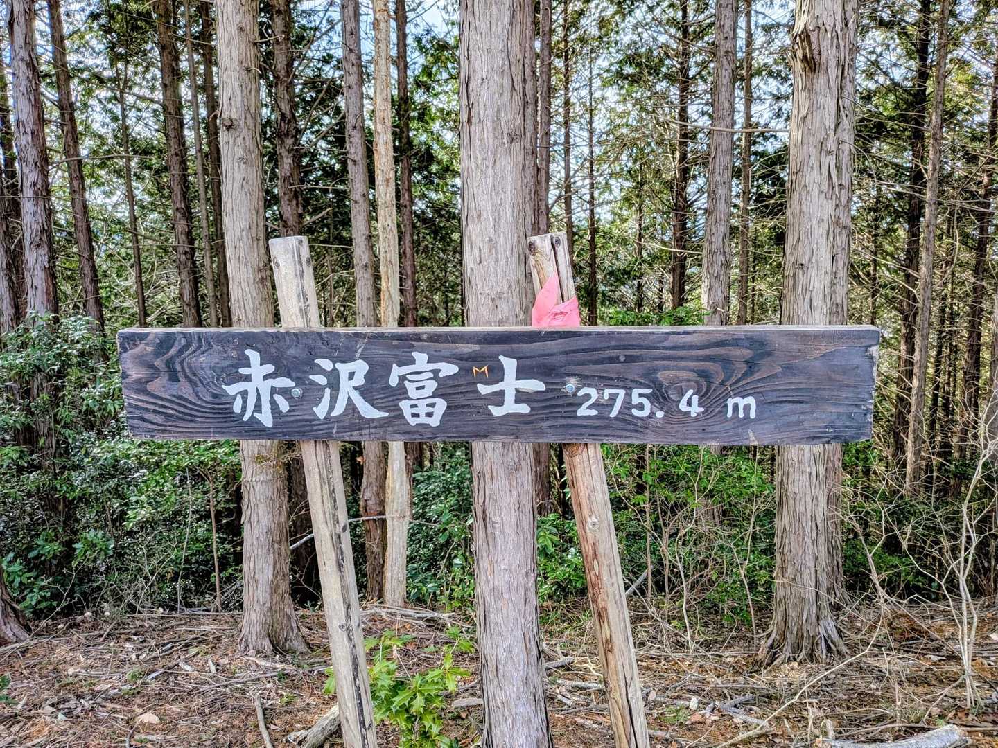 さっきのベンチからすぐそばに山頂あった🙌