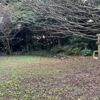 矢はづ山山頂、キャンプファイヤーの跡
