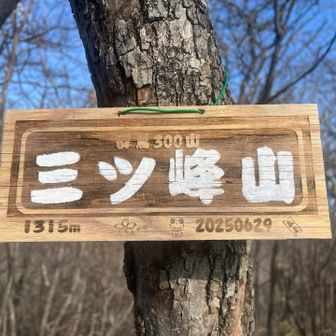 群馬300山
  三ツ峰山
   1315m

ぐんま百名山以外に300山もあるのかΣ(ﾟдﾟ；)
今年付けられた新しい山名札📛
ほっこり系でかわいい🐸