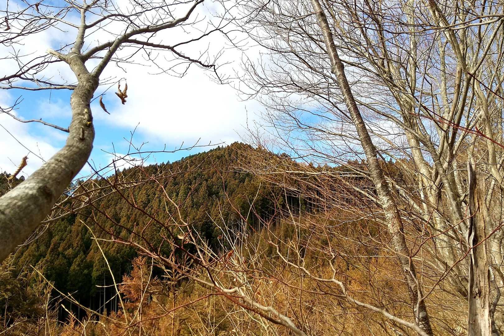 振り返って明神山