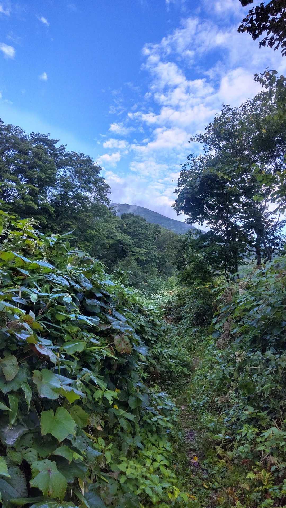 晴れたよ✨
この後、雨が降るとは思わんかった😰