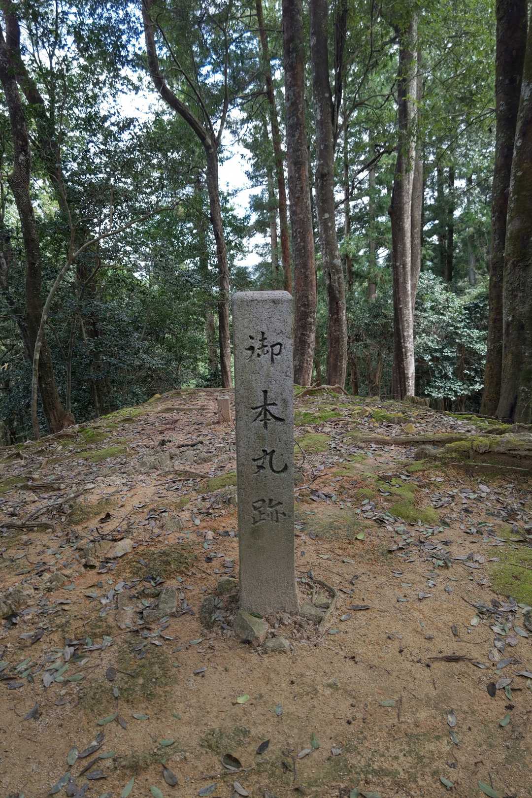 郡山山頂到着(^o^)v
