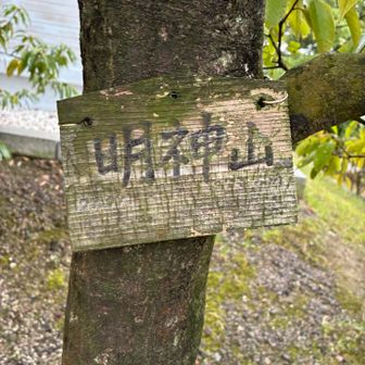 明神山も三室山も貸切りでした！