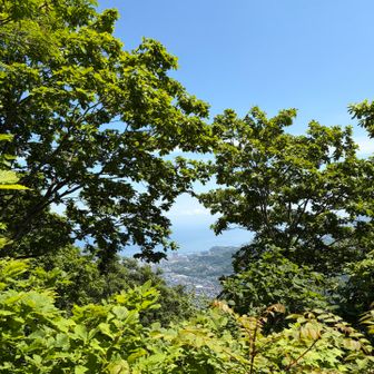 見晴台