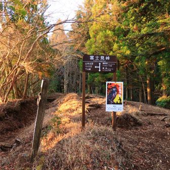 富士見峠だけど富士見えねぇ峠だった 件