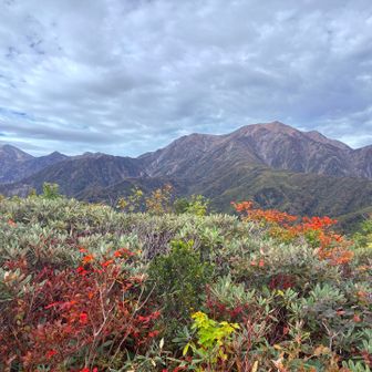 10分ほどの寄り道で行ける同行山。絶景スポットです。