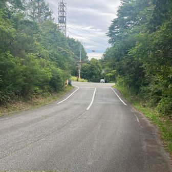 前方の信号🚥交差点を渡り、車道を真っ直ぐ下ります。