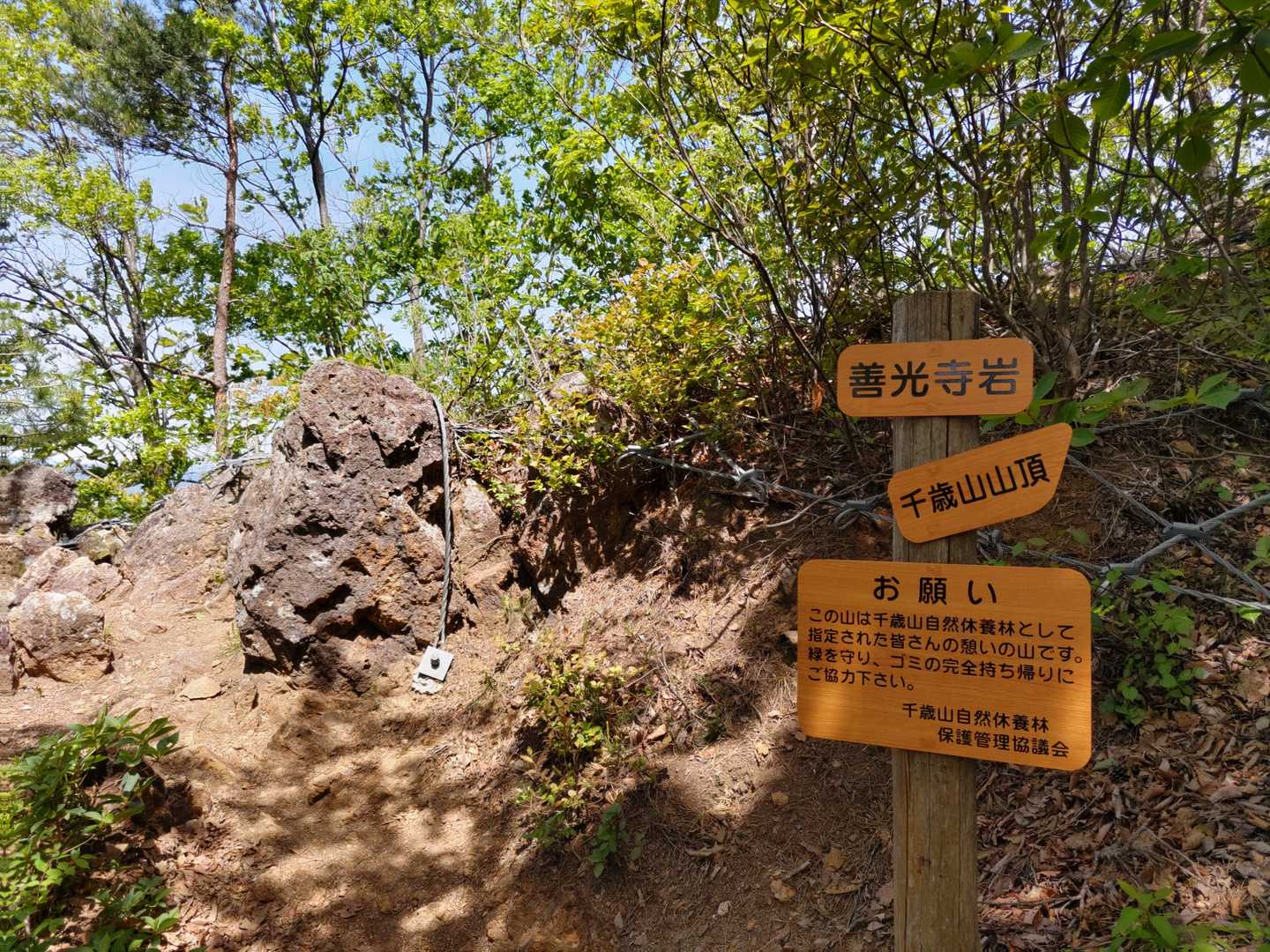ワイヤー、ないとダメなんでしょうね…