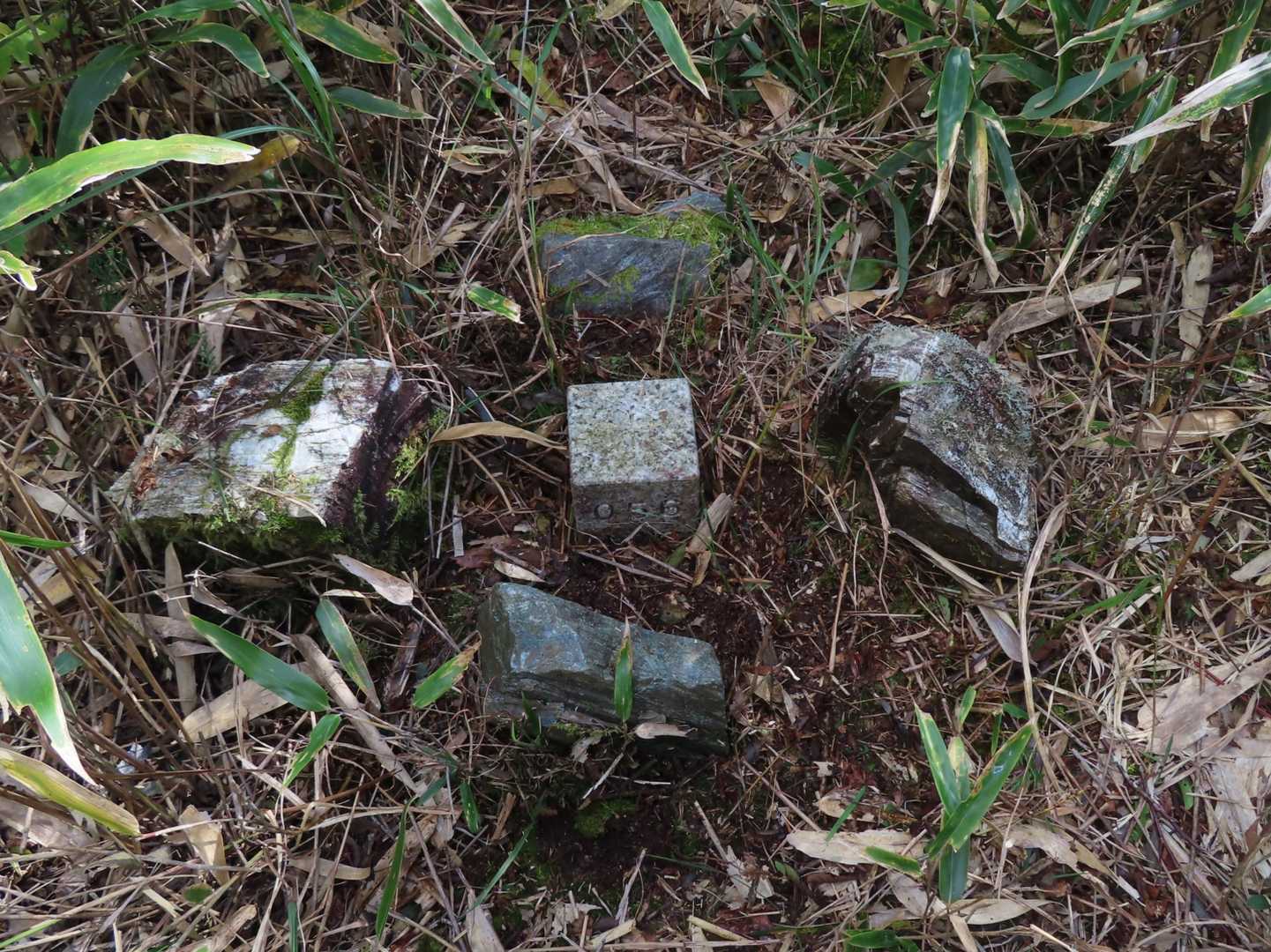 あ、間違った・・・こちらがそうでした
四等三角点稲村1200.9ｍ
そのまま東に進めば林道ですが、ヤブが深いし、その先は崖
引き返す方が賢明です