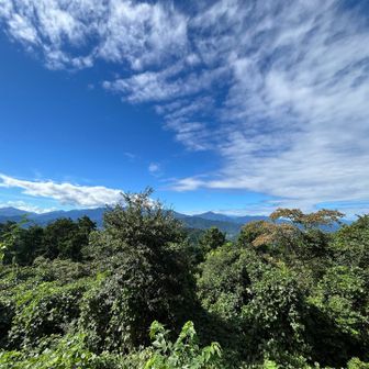 富士山こそ見えませんでしたが、澄んだ空気が遠くまで抜け、心まで軽くなる眺めでした