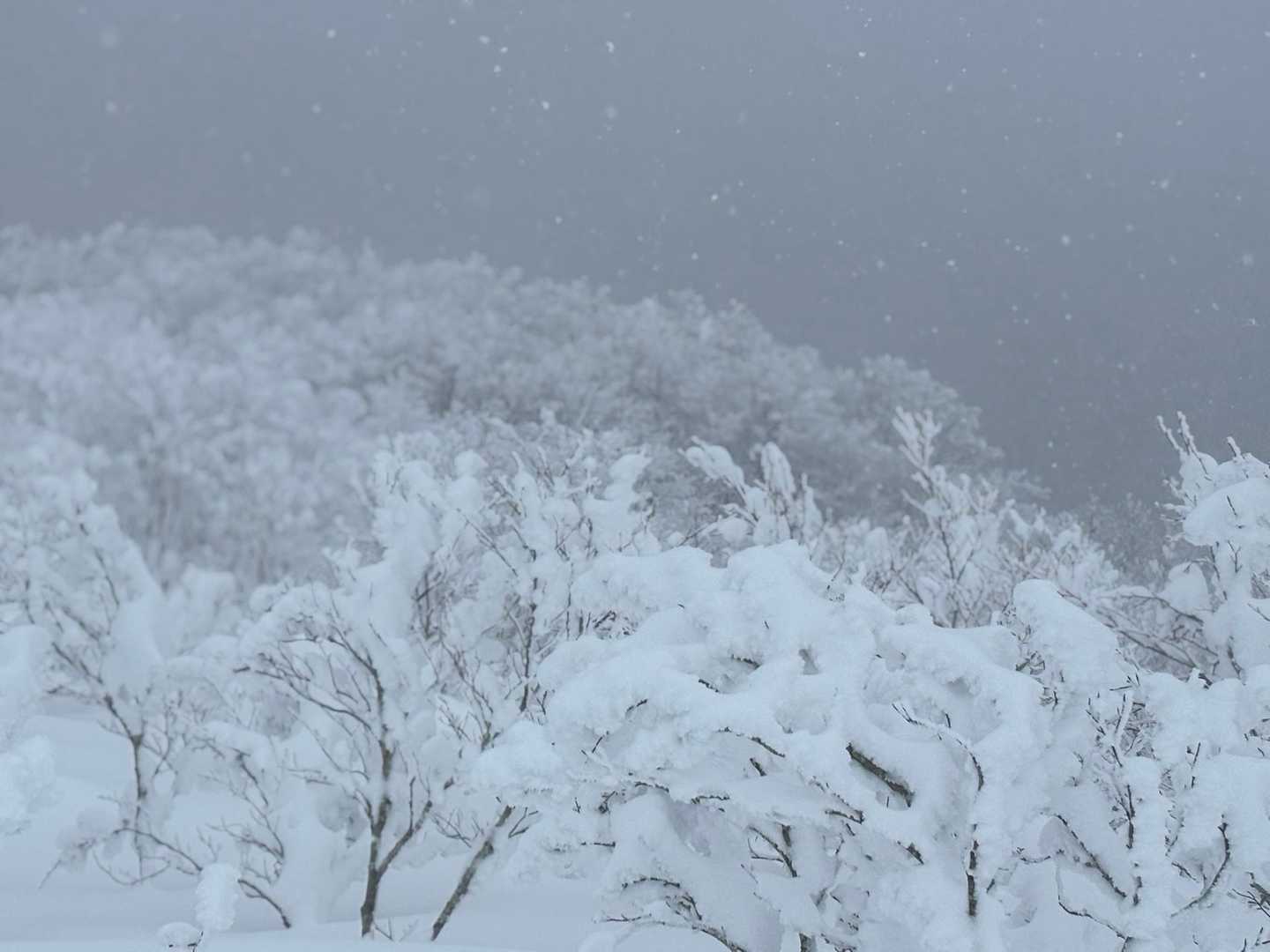 カケスガ峰までは、自分たちのトレースが埋もれる程積雪となっていた