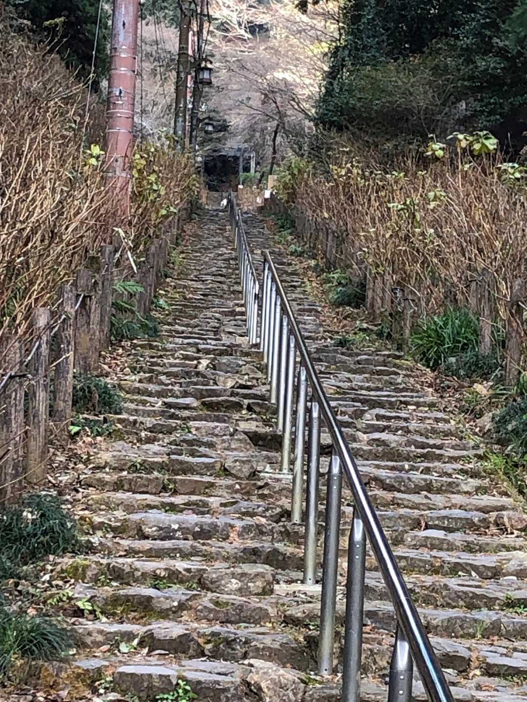 階段！1000段‼️