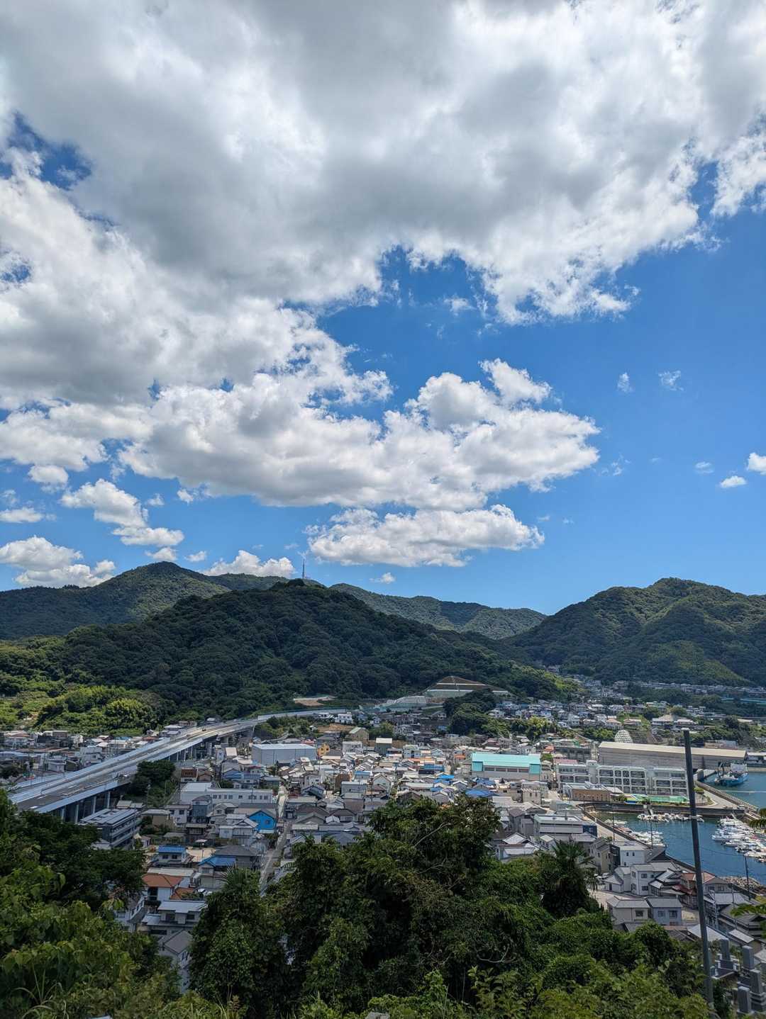 だいぶ降りてきました