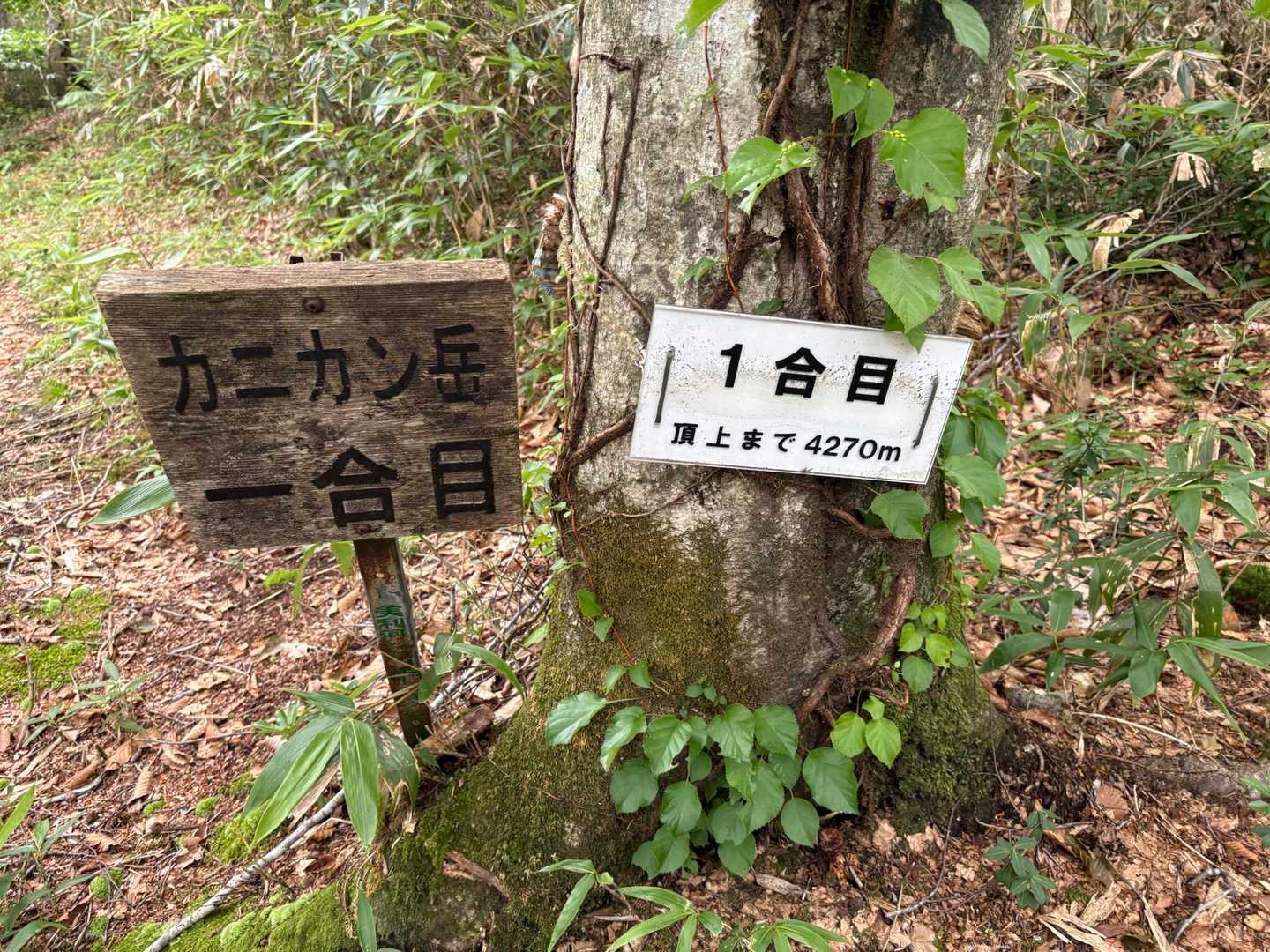 1合目到着‼️  山頂まで4270m