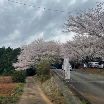 右は駐車場入口なので、左の細道へ