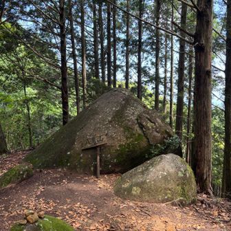 八鬼山山頂
山頂は展望なし