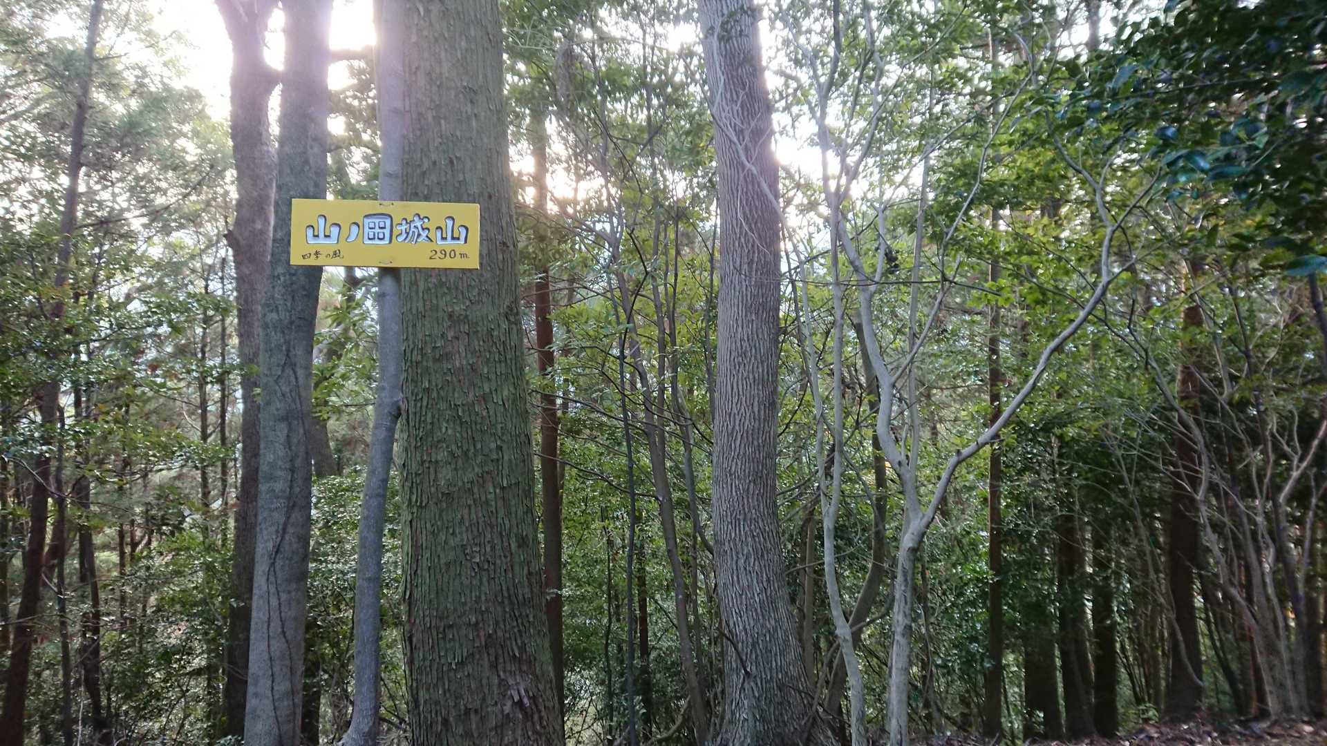 展望はありません