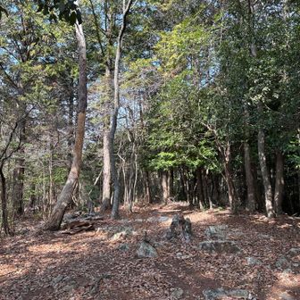 そろそろ下山します