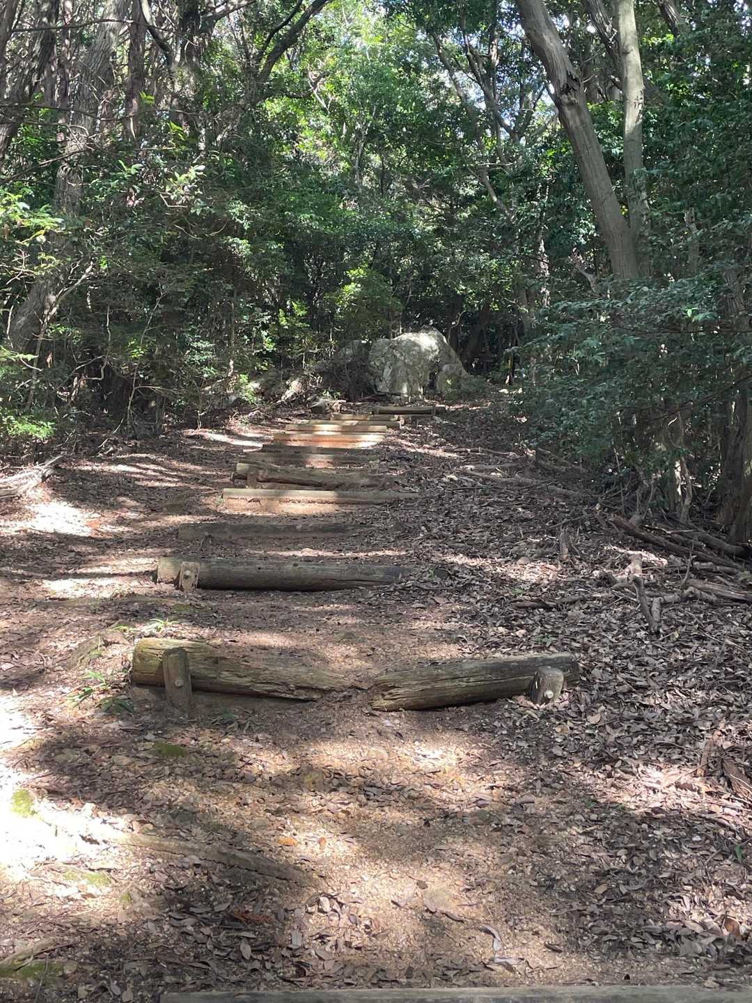 何も無い道だったからとりあえず目の前にどーーんと現れた岩🪨もパシャ📸