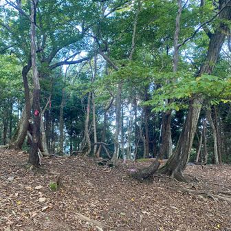 中村乗越を直進