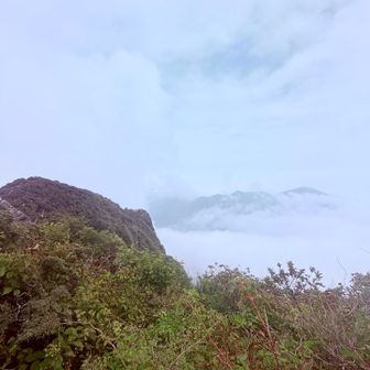 　　　鶴見、伽藍は雲海に浮かんで