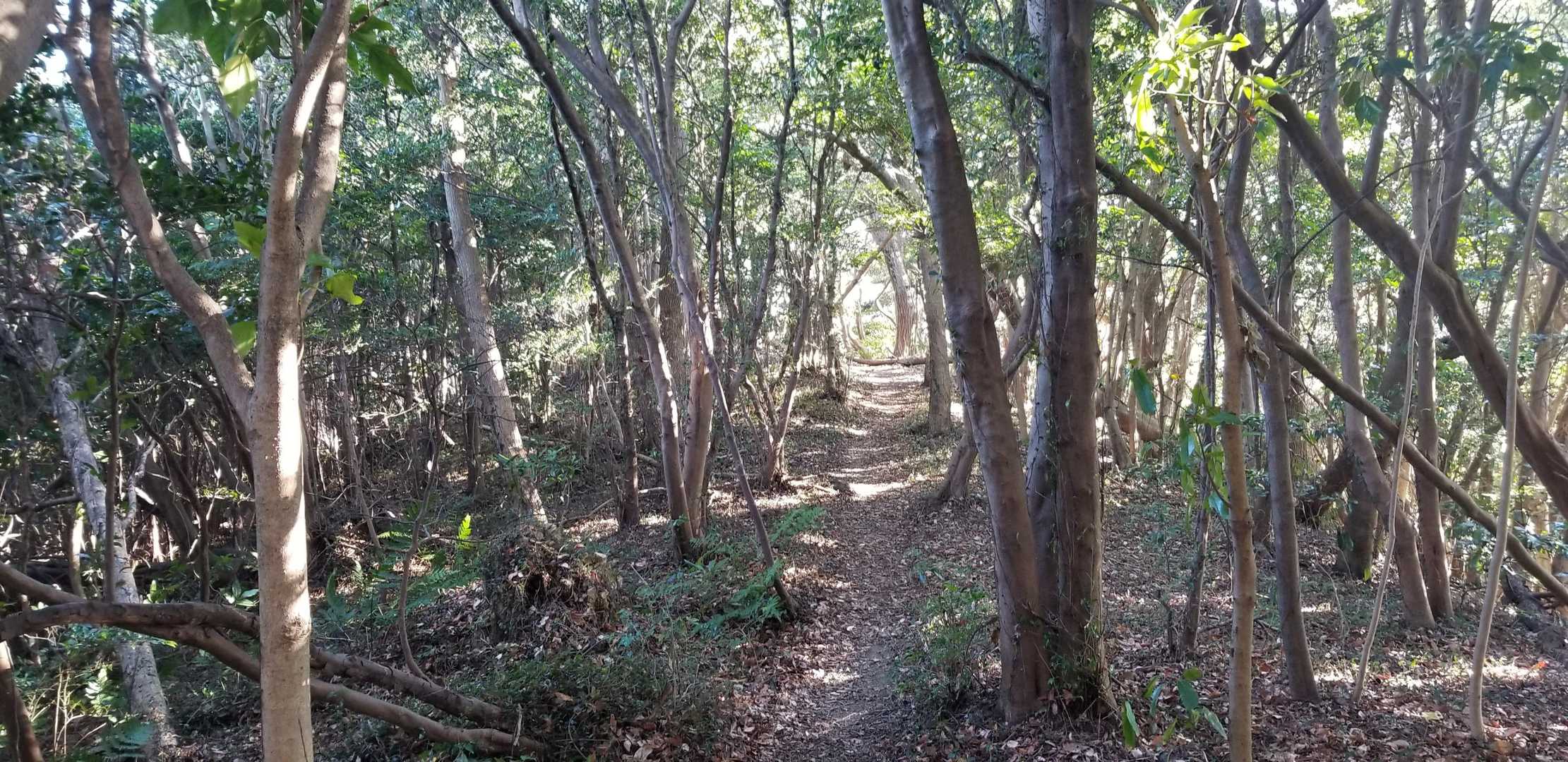景色が変わらないストレートロード
登りは正直しんどいだけで楽しめないのだけど
下りはその道が逆に楽しい♡