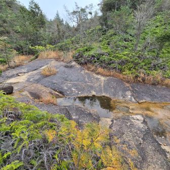 落ヶ滝上部　ナメが続く道