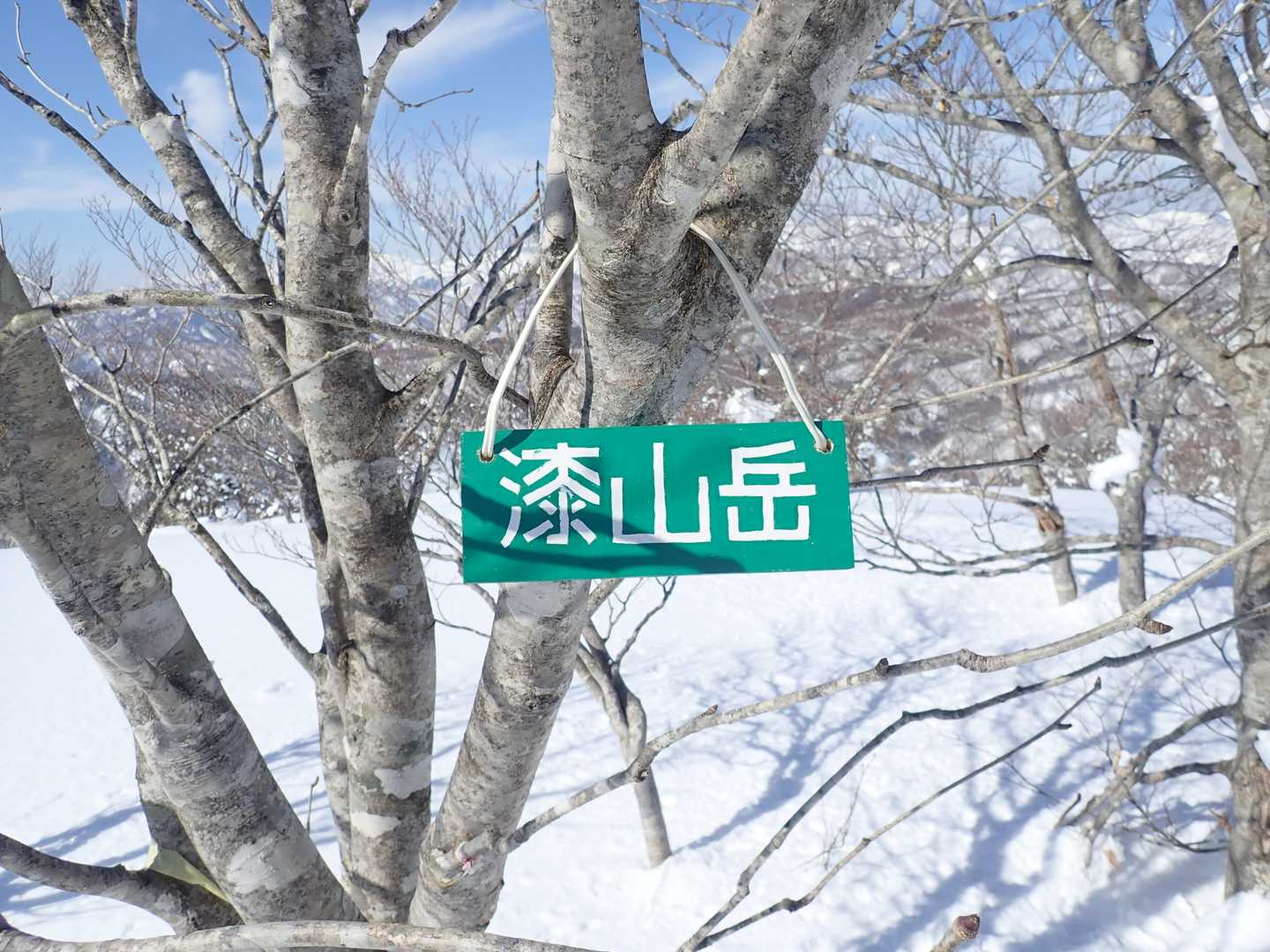 同行者が山頂プレート設置。皆さん見に来てね。