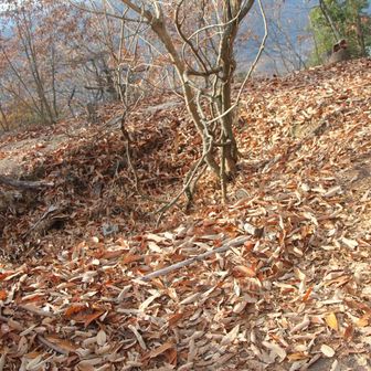 山頂のただの凹みではなく狼煙場らしい🔥