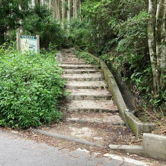 降りてきました！